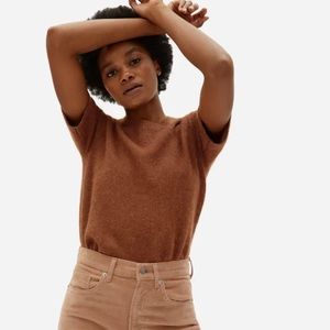 Everlane Alpaca Sweater Tee - Dark Copper